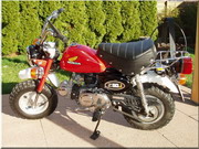 Honda Monkey Z 50 J2 49 ccm