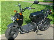 Honda Zoomer